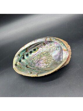 Abalone Shell Mother Of Pearl Trinket Dish Natural Nautical Beach Decor Unique